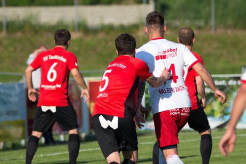 2019-05-24--Meisterschaftsspiel_SVN_vs._Taufkirchen_an_der_Pram_041