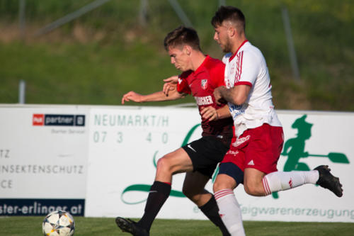 2019-05-24--Meisterschaftsspiel_SVN_vs._Taufkirchen_an_der_Pram_052