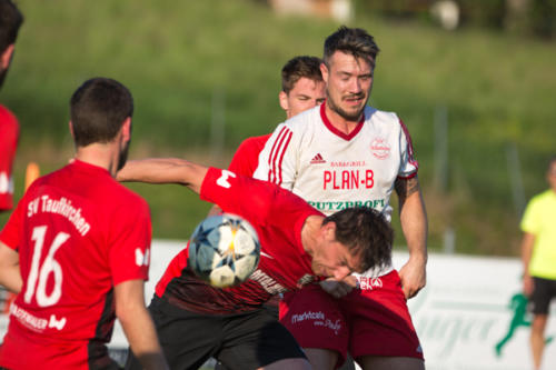 2019-05-24--Meisterschaftsspiel_SVN_vs._Taufkirchen_an_der_Pram_064