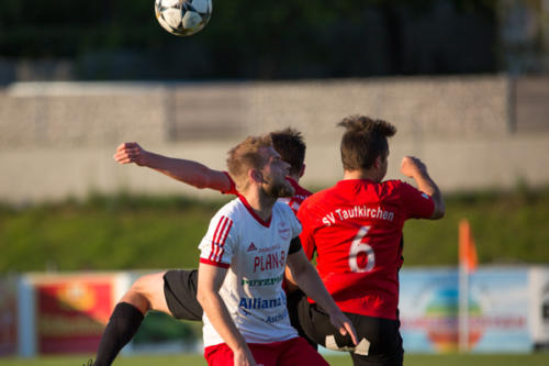 2019-05-24--Meisterschaftsspiel_SVN_vs._Taufkirchen_an_der_Pram_075