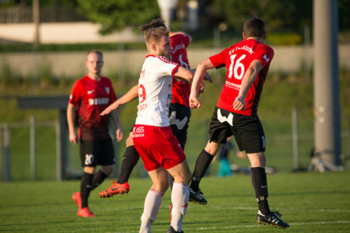 2019-05-24--Meisterschaftsspiel_SVN_vs._Taufkirchen_an_der_Pram_086