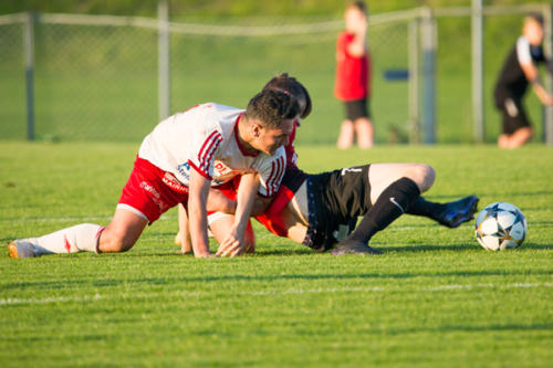 2019-05-24--Meisterschaftsspiel_SVN_vs._Taufkirchen_an_der_Pram_092