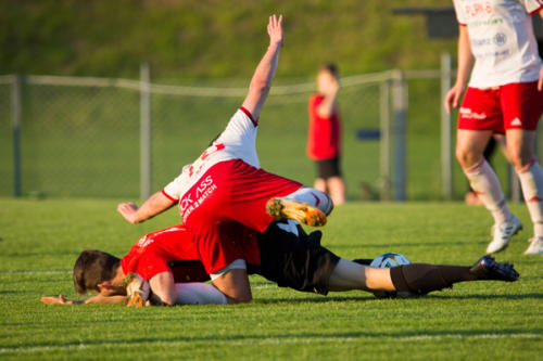 2019-05-24--Meisterschaftsspiel_SVN_vs._Taufkirchen_an_der_Pram_093