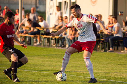 2019-05-24--Meisterschaftsspiel_SVN_vs._Taufkirchen_an_der_Pram_097