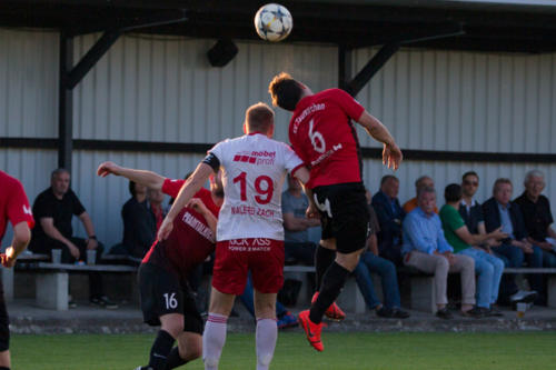 2019-05-24--Meisterschaftsspiel_SVN_vs._Taufkirchen_an_der_Pram_100